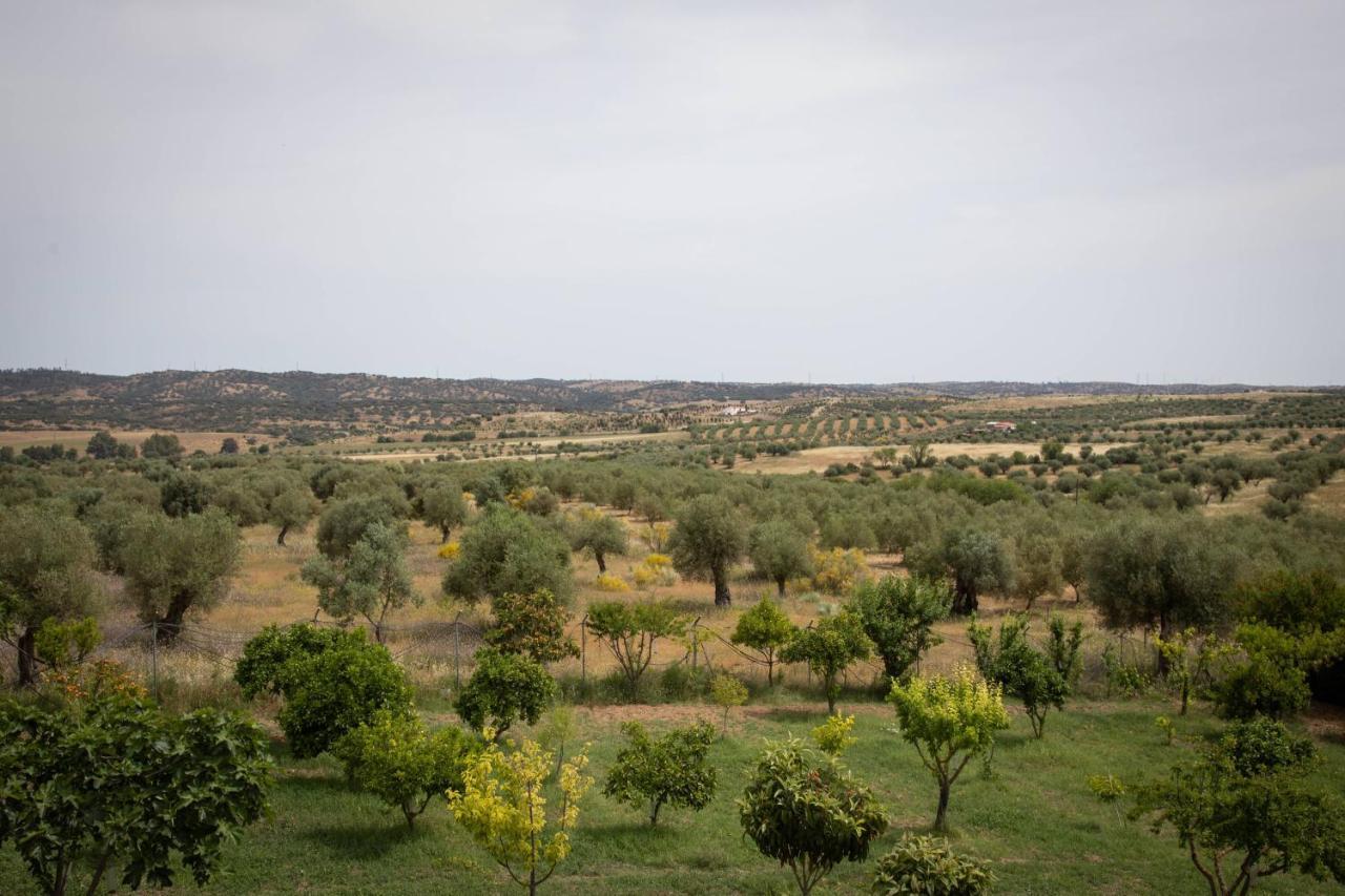 Passo Do Lobo - Turismo Rural Moura Exterior photo